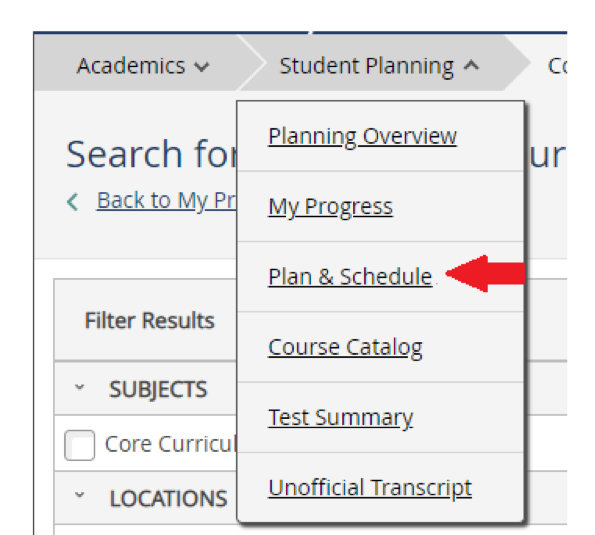 In RogerCentral, from the top menu, click on "Student Planning" and then on "Plan and Schedule"