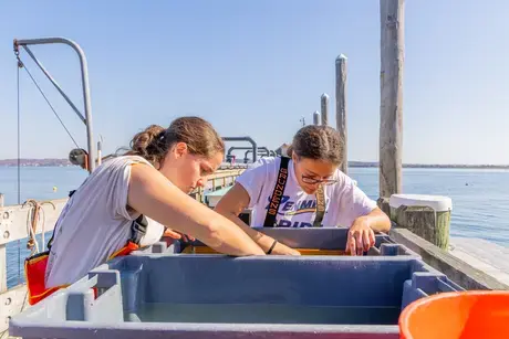 CEED's hands-on learning.