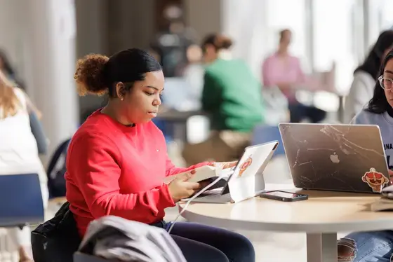 Students looking at laptop computers