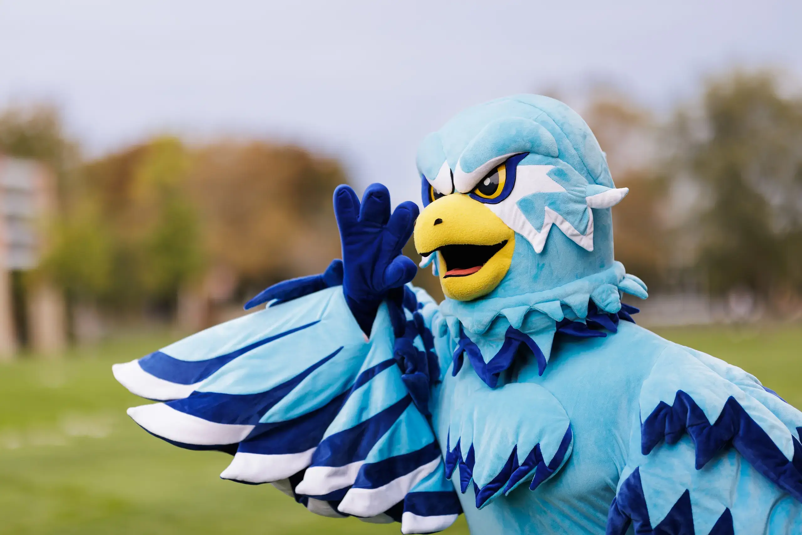 Swoop mascot