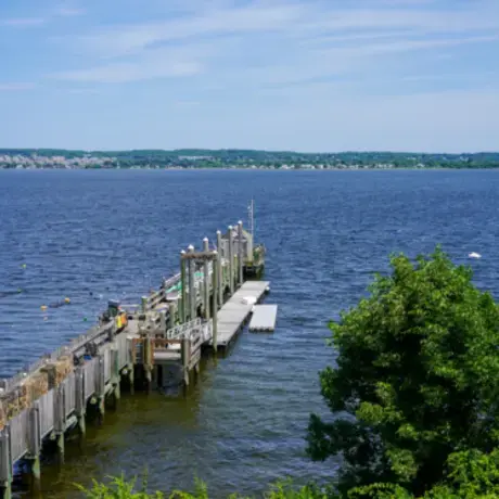 View from the RWU Sailing Center showing a wooden dock extending into Mount Hope Bay on a clear summer day. The shoreline and distant hills are visible across the water under a blue sky.