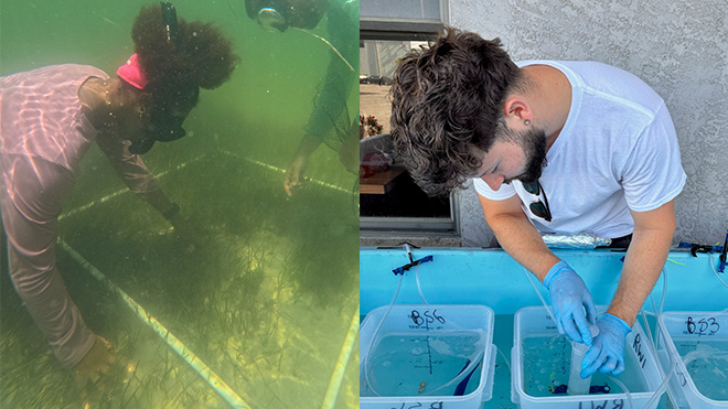 GSI Blue Fellows in the field and in the lab.