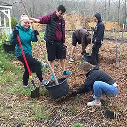 students work together to plant a tree