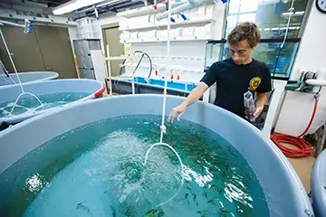 Student feeding fish.