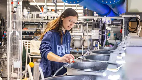 Student working in RWU's Wet Lab.