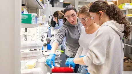 RWU student works with Portsmouth High School STEM students in the lab.