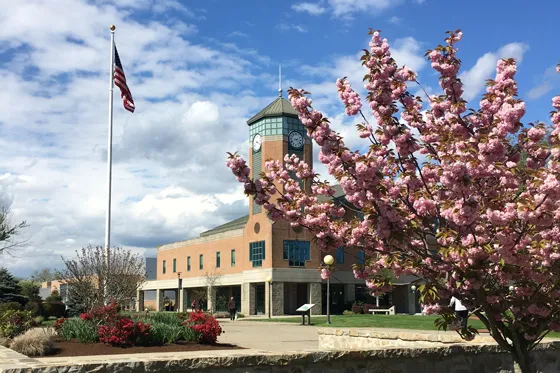 RWU Bristol campus with a tree in bloom, American flag, and the University Library.