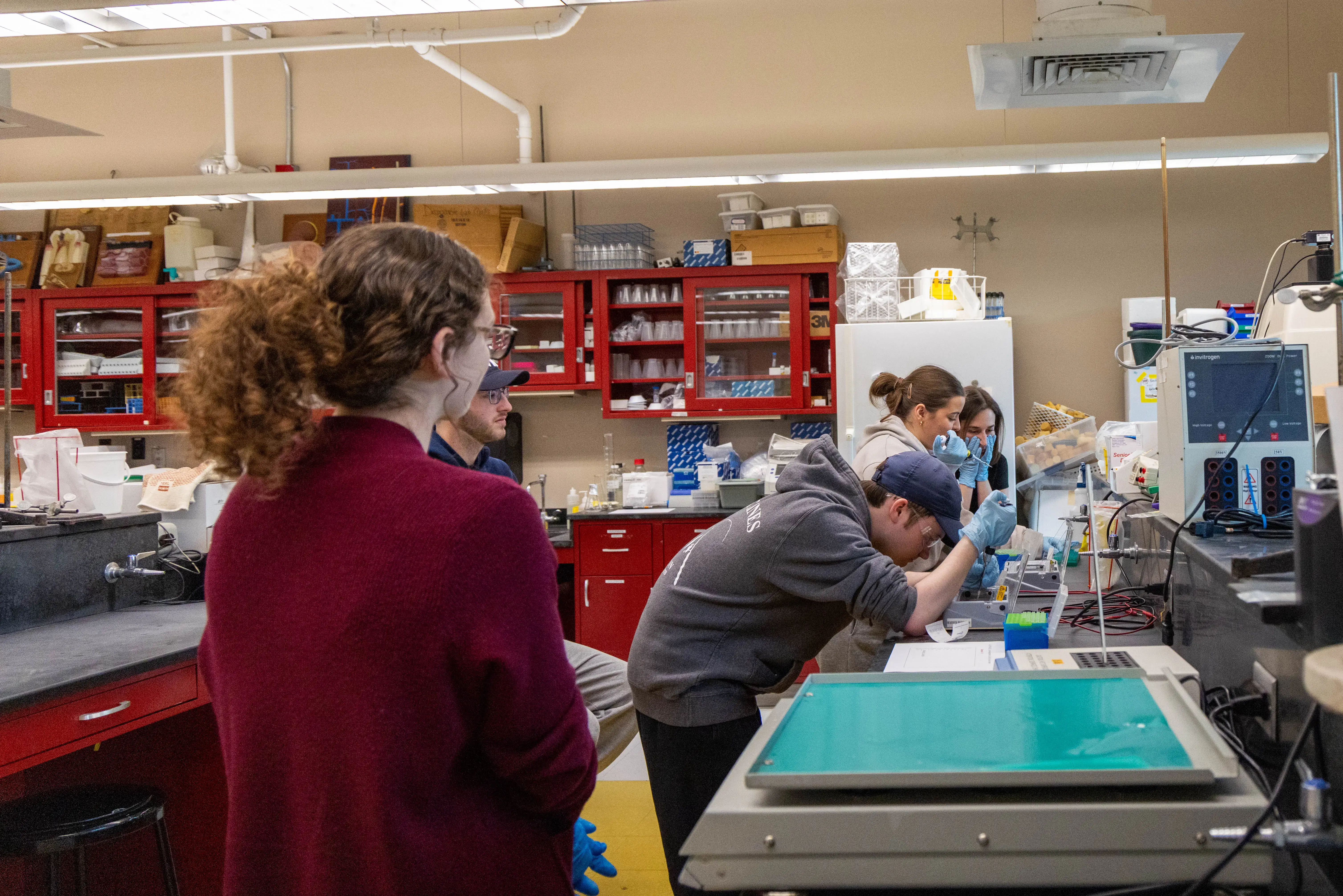 Students work with lab equipment and pipettes in a busy science lab, while others observe and take notes near red cabinets and shelves.