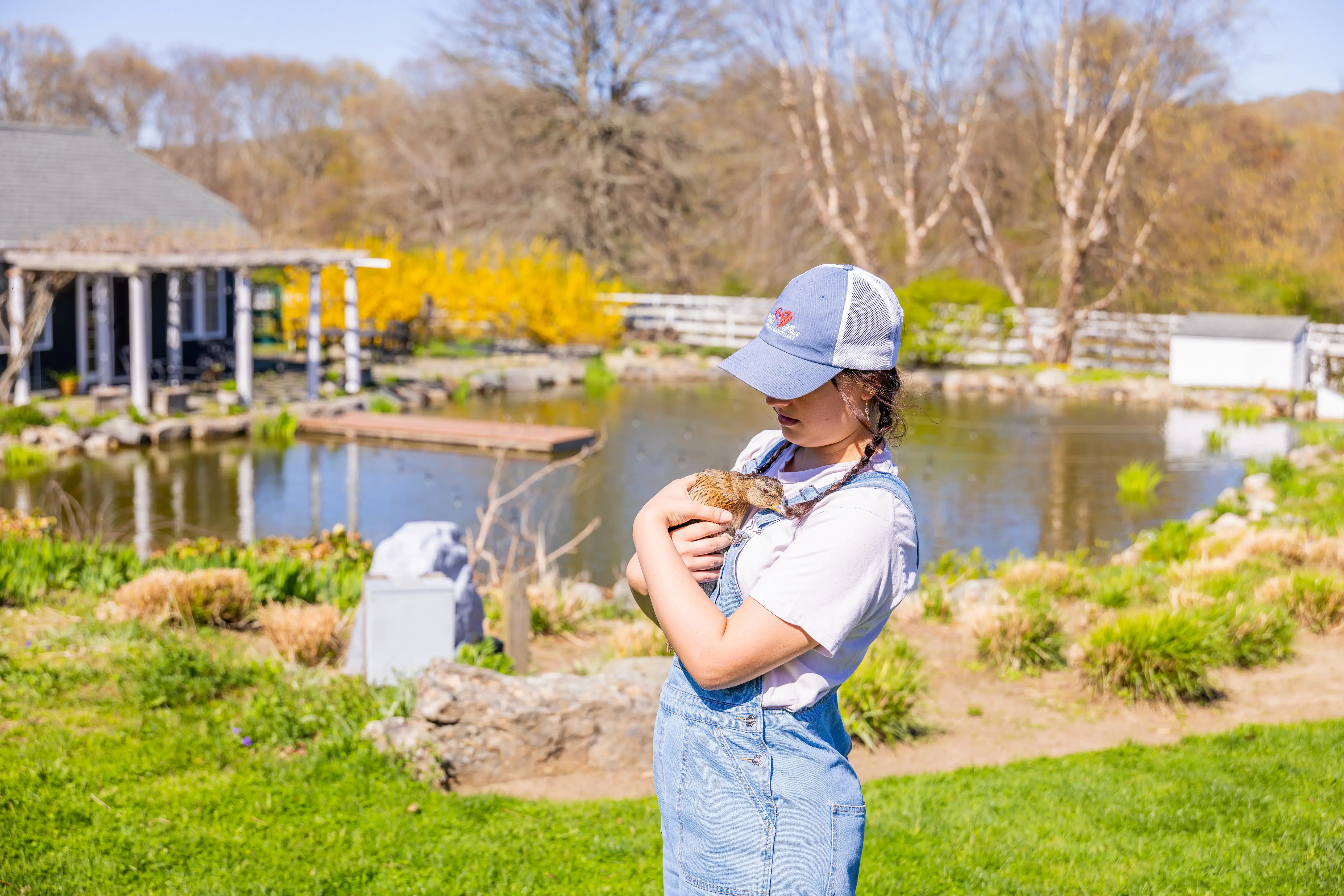 A young girl in overalls holds a duckling near a pond on a sunny day, with flowers, trees, and a cottage in the background.