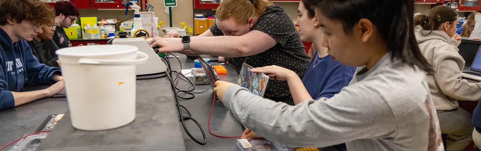 Biology students in a lab