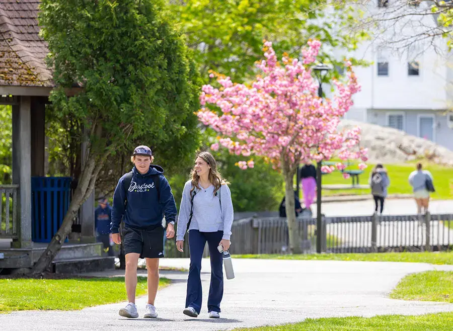 Students walk across campus in front of flowering tree
