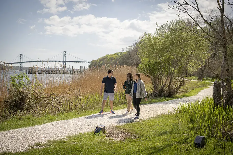 Students walk along shell path